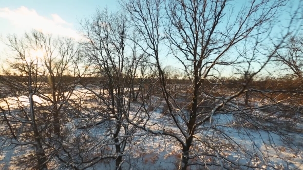 Aerial - Snowy Landscape In Winter Forest