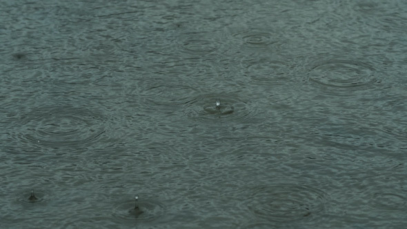 Rain Drops Falling Slowly in Puddle