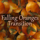 Falling Oranges Transition - VideoHive Item for Sale