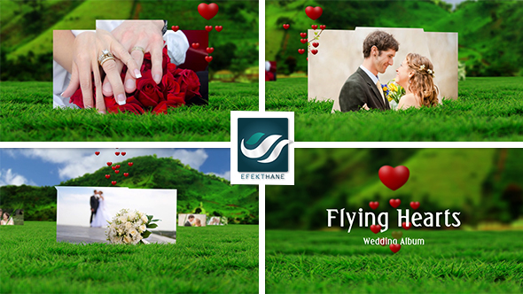 Flying Hearts Wedding Album