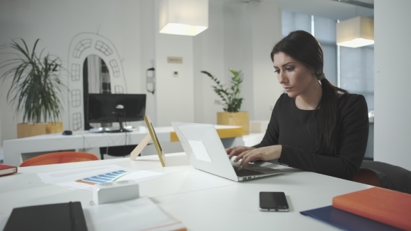 Attractive Business Woman Working At The Office