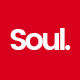 Soul - Responsive Ajax WP WooCommerce Theme - ThemeForest Item for Sale