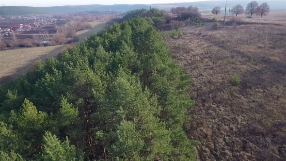 Aerial View Of Forest Near The Road