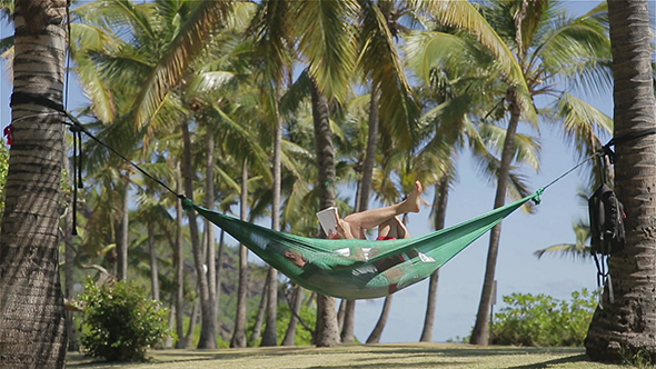 Beach Summer Vacation