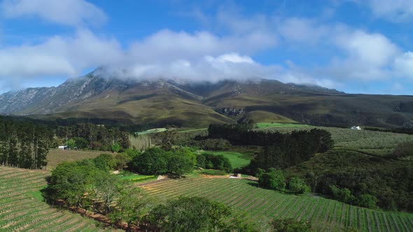 Drone flies backwards over farm with orchards and oak tree lane with clouds shrouding mountain top d