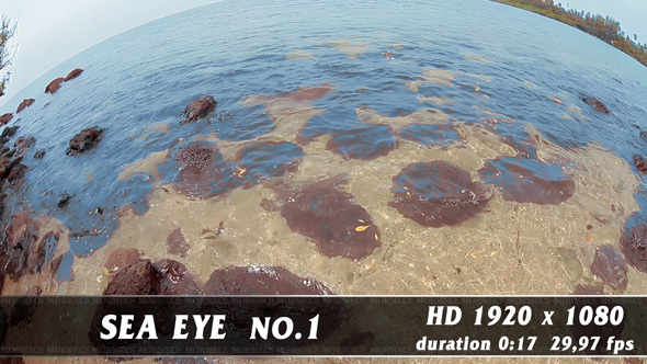 Sea Eye No.1