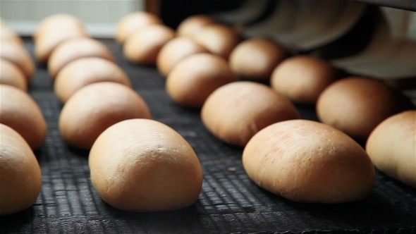 Factory For The Production Of Bread