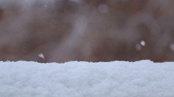 Snowflakes Falling on Snowdrift