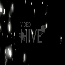 Flying Petal Transition with Glow - With Alpha - VideoHive Item for Sale