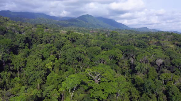 High Aerial Drone View of Rainforest and Mountains in Costa Rica, Tropical Jungle Landscape Scenery