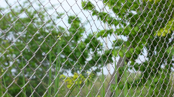 Trees And Plants Behind The Metal Mesh Fence