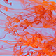 Orange Ink Flow - VideoHive Item for Sale