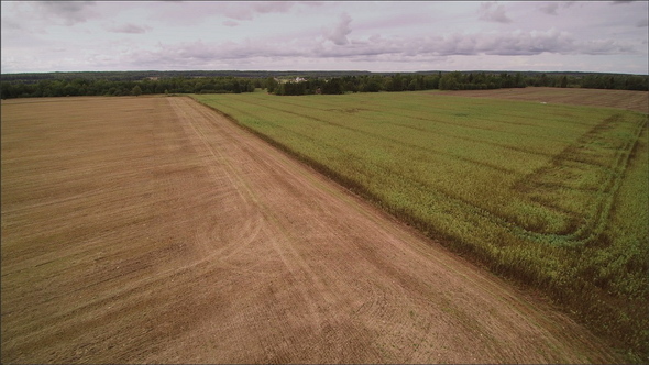 The Empty Brown Field with the Bean Field on the Side