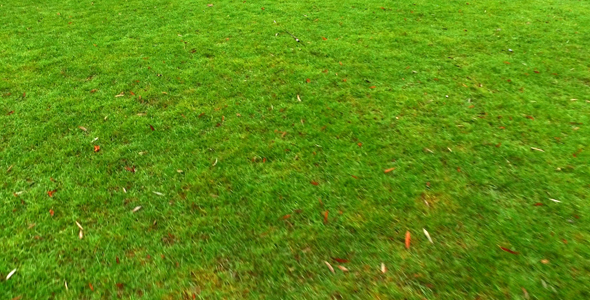 Walking Fast on Grass Ground