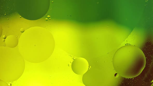 Macro Structure of Colorful Oil Bubbles. Chaotic Motion. Abstract Multicolored Background. Pattern