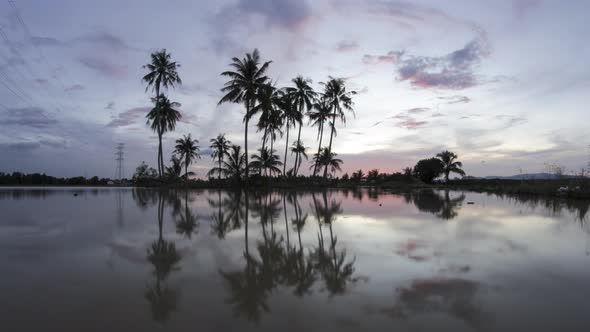 Timelapse evening cloud at coconut trees