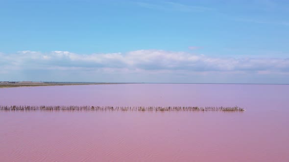 SasykSivash is the Largest Lake and Salt Lake on the Crimean Peninsula