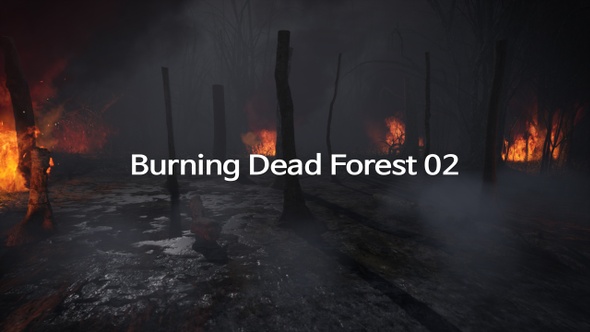 Burning Dead Forest 02
