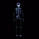 Xray Skeleton Body - VideoHive Item for Sale