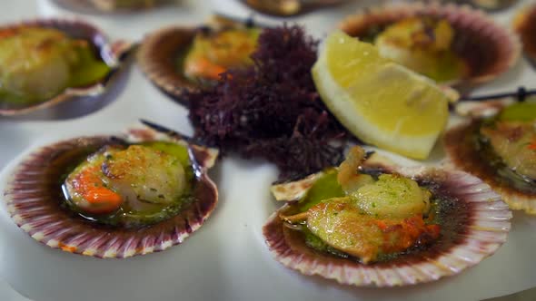 Grilled scallops with lemon, garlic and parsley sauce