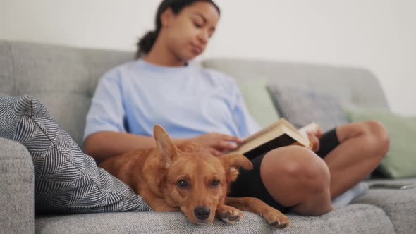 Positive woman reading book and stroking her dog