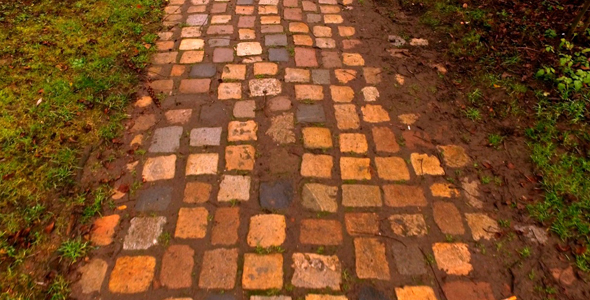 Walking on Stone Ground in Park