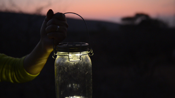 Lighting a Lamp at Dusk