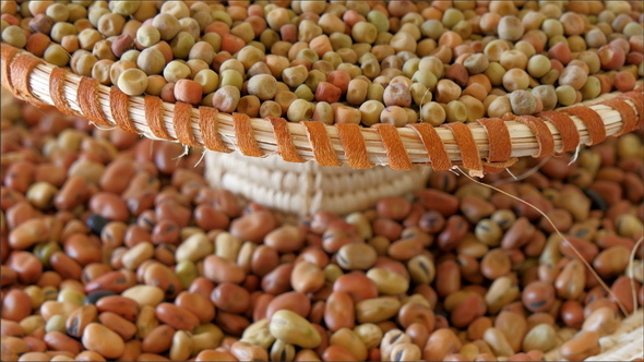 Red and Yellow Beans Being Displayed in the Expo