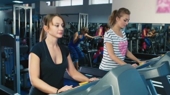 A Group Of Attractive Women Training