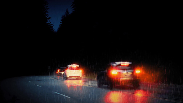 Cars On Forest Road At Night In Rainstorm