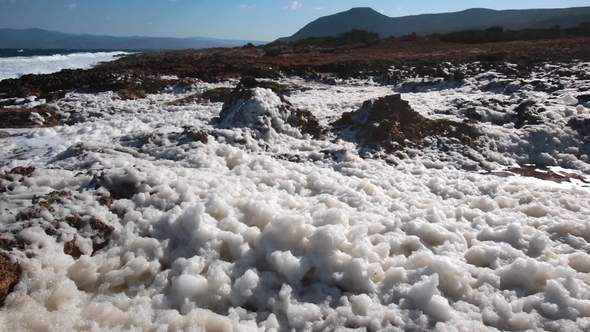 Sea Spume