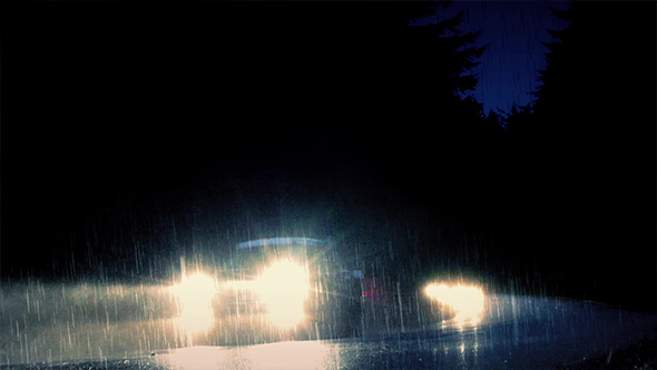 Cars Driving Through Forest In Heavy Rain