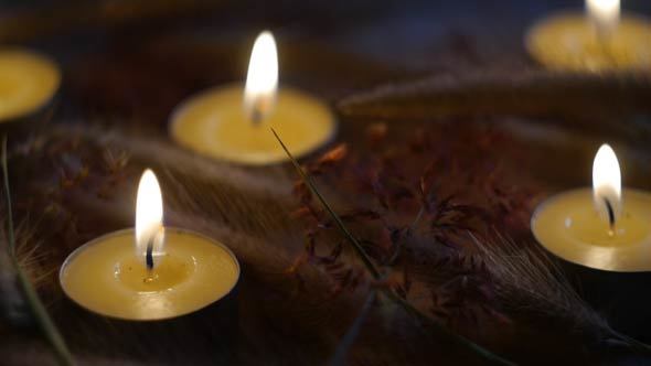 Candle With Grass