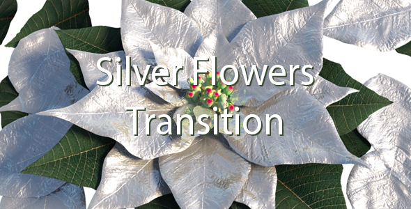 Silver Flowers Transition alt