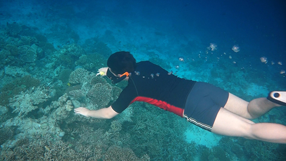 Snorkeler Diving