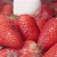 Fresh strawberries are drizzled with cream. Yogurt dripping on strawberries. Organic ripe strawberry - VideoHive Item for Sale