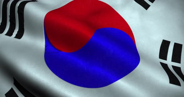 South Korea waving Flag