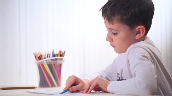 The Boy Draws Colored Pencils