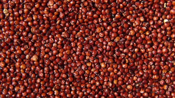 Rotation macro natural dried red quinoa seeds, top view