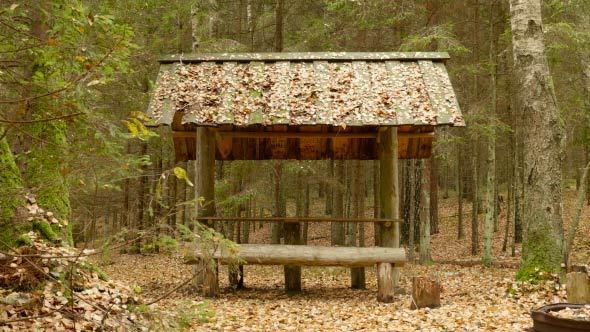 Wooden Camping in the Forest