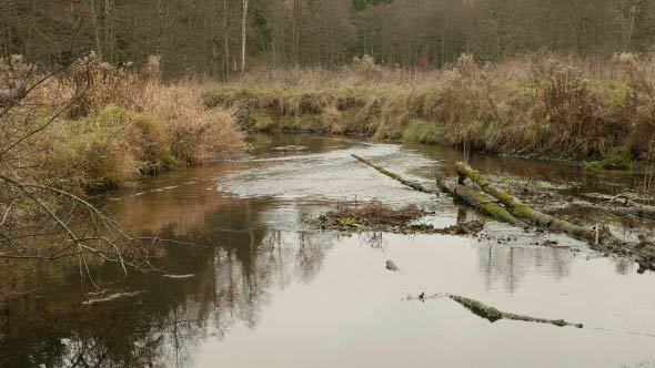 River in the National Park