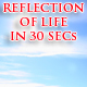 Reflection Of Life