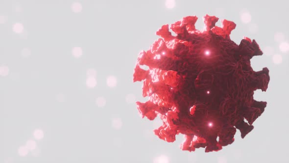 Flu COVID19 Virus Variant of Coronavirus