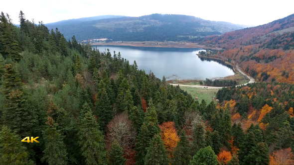 Aerial Forest and Lake