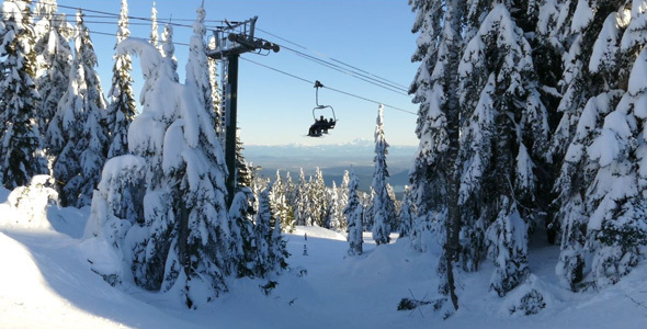 Alpine Skiing Resort - 02 - Snow, Trees, Lift, People