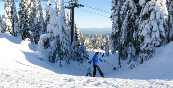 Alpine Skiing Resort - 05 - Snow, Forest, Mountains, Kids alt