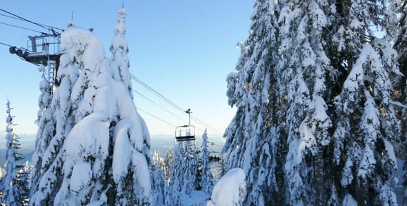 Alpine Skiing Resort - 08 - Mountains, Forest, Snow, People alt