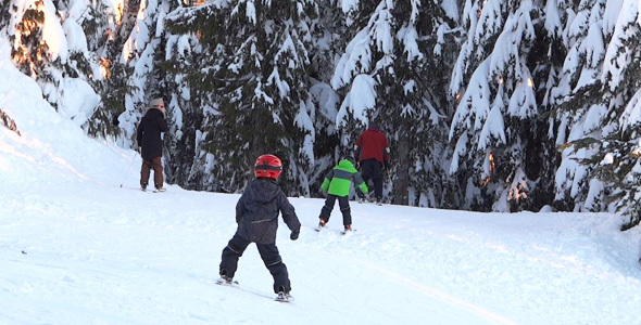 Alpine Skiing Resort - 13 - Forest, Snow, Slopes, Kids