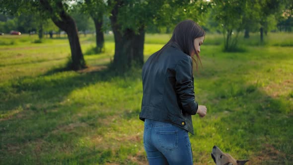 A Young 20 Years Old Girl Leads Her Dog for a Walk in the Park on a Leash.