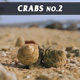 Crabs No.2 - VideoHive Item for Sale
